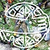 Reciclagem do plástico: um material 100% reutilizável