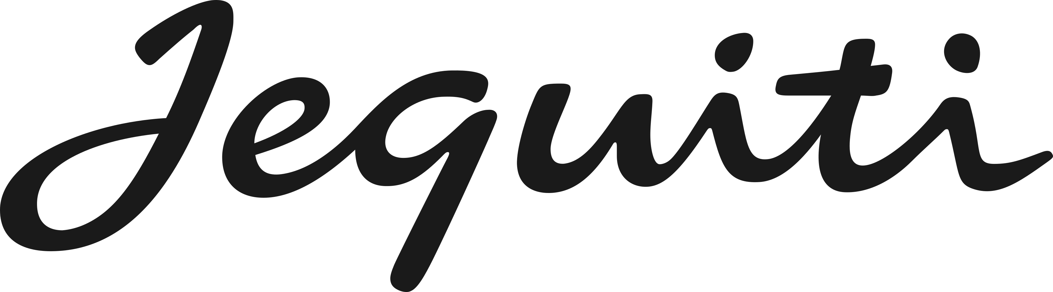 Jequiti logo